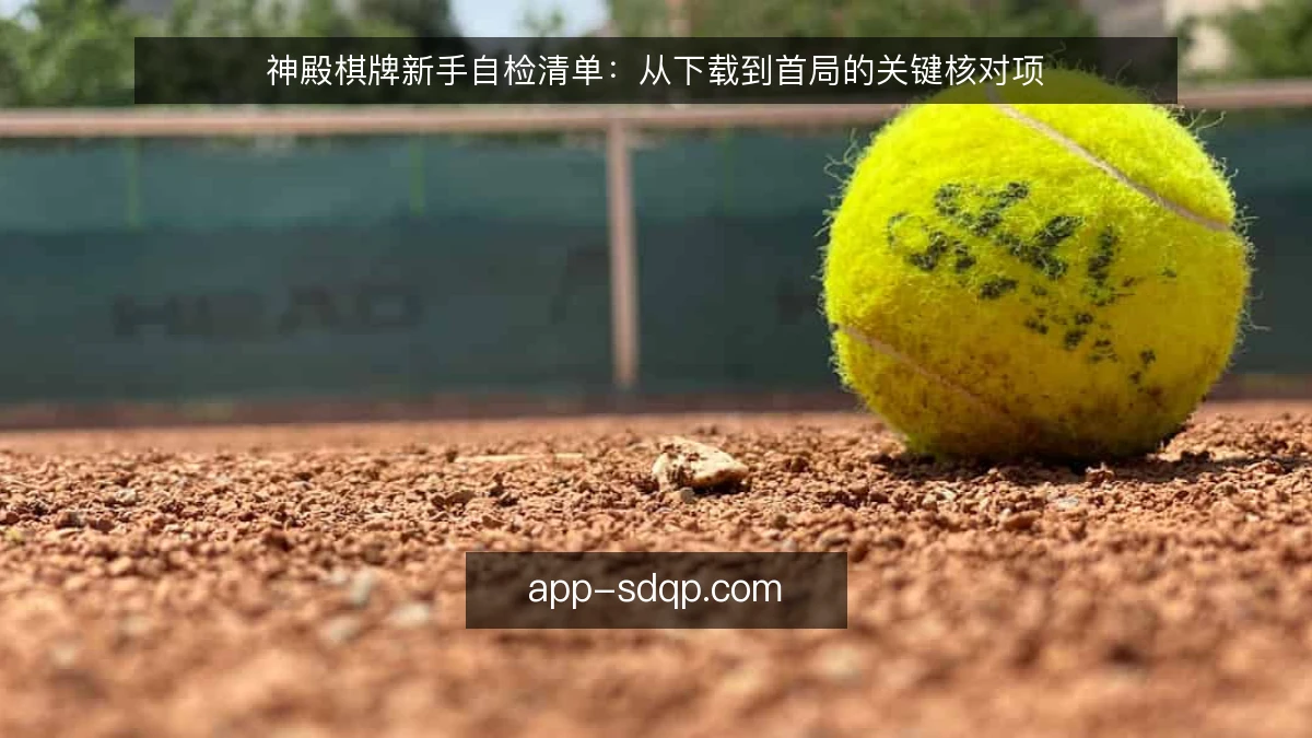 神殿棋牌新手自检清单:从下载到首局的关键核对项