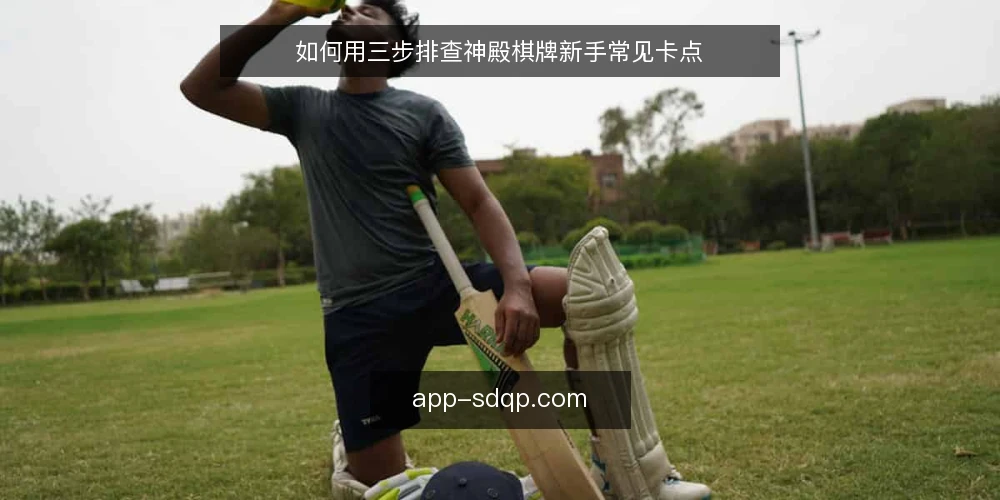 如何用三步排查神殿棋牌新手常见卡点 — 先看清卡在哪里 配图